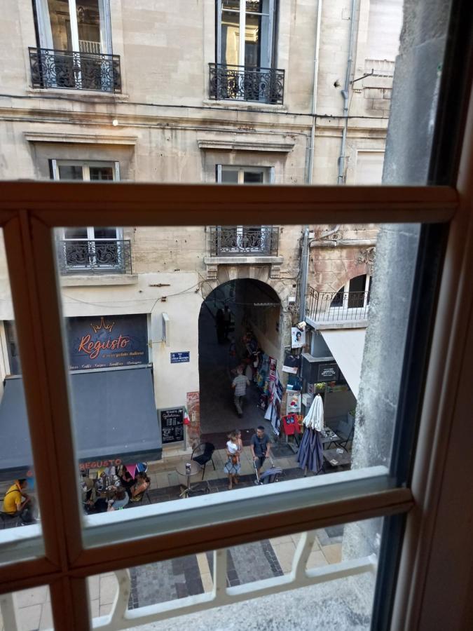 Studio Cocooning Centre Historique D Avignon Daire Dış mekan fotoğraf
